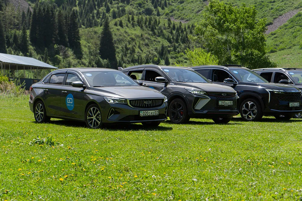 «Чистые горы»: экологическая акция участников Geely Community в предгорьях Алматы