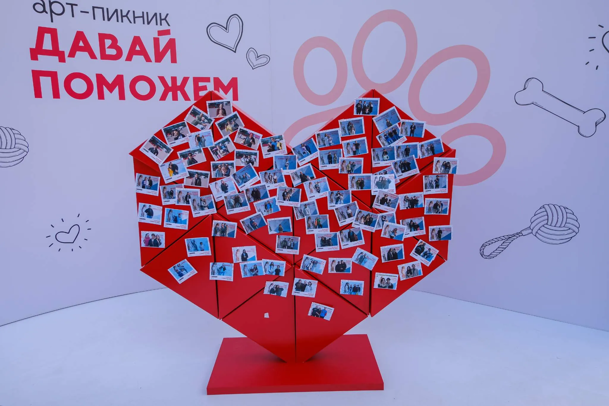 22 питомца обрели новый дом во время благотворительного мероприятия «Давай поможем»