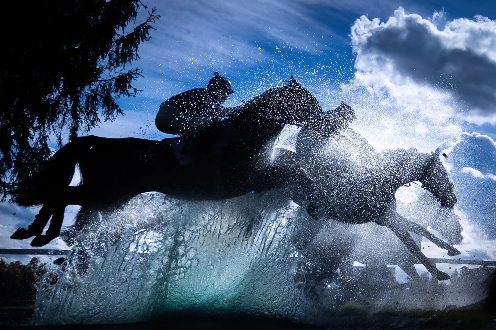 2026 жылғы World Sports Photography Awards марапатына өтініш қабылдау ашық