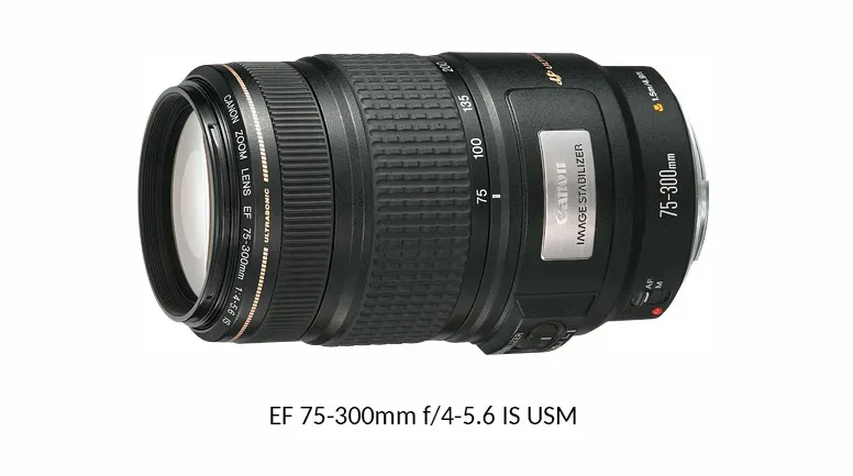 Объем производства объективов Canon RF/EF превысил 170 миллионов единиц, что подтверждает мировой рекорд компании по производству сменных объективов