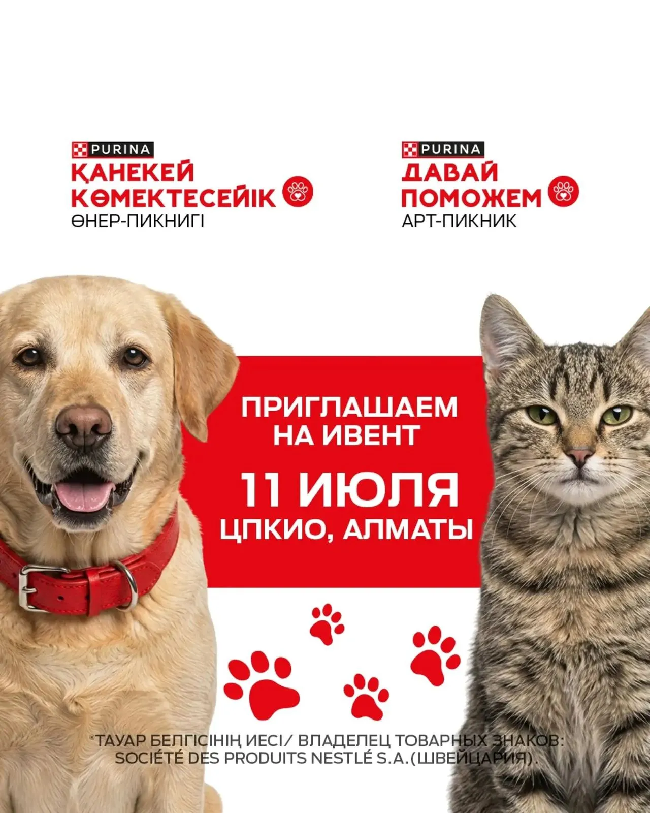 11 июля в Алматы пройдет благотворительная акция по пристройству животных 11 июля в Алматы пройдет благотворительная акция по пристройству животных